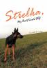 Strelka My Best Friend's Dog