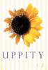 Uppity