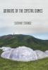 Weavers of the Crystal Domes