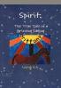Spirit
