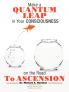 Make a Quantum Leap in Your Consciousness on the Road to Ascension