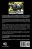 Christmas Stories For The Horse Lover