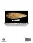 The Adena Culture of the Sandy Hill Area Dorchester County Maryland