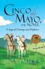 Cinco de Mayo the Novel