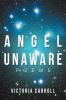 Angel Unaware