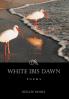 WHITE IBIS DAWN