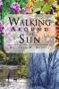 Walking Around The Sun