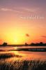 Sun-baked Love
