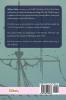 La Leyenda del Pirata Mundaca: The Saga of a Spanish Pirate