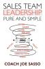 Sales Team Leadership