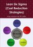 Lean Six Sigma  (Cost Reduction Strategies)