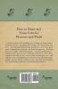 How to Raise and Train Colts for Pleasure and Profit