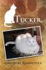 Tucker the too lovable cat