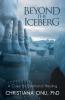 Beyond the Iceberg