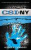 CSI: New York: Four Walls (Volume 4) (Csi: Ny)
