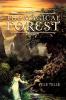 The Magical Forest