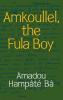 Amkoullel the Fula Boy