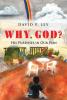 Why God? His Purposes in Our Pain