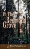 In The Redwood Grove