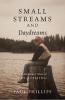 Small Streams and Daydreams