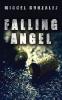 Falling Angel