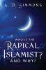 Who Is the Radical Islamist? and Why?