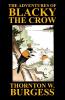 The Adventures of Blacky the Crow