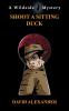 Shoot a Sitting Duck