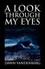 A Look Through My Eyes