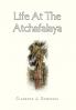 Life at the Atchafalaya