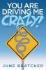 You Are Driving Me Crazy!