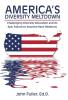America's Diversity Meltdown