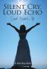 Silent Cry Loud Echo