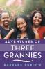Adventures of Three Grannies