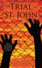 The Trial of St. John