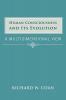 Human Consciousness and Its Evolution