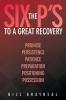 The Six P's to a Great Recovery