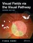 Visual Fields via the Visual Pathway