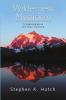 Wilderness Mysticism