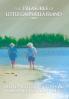 The Treasures of Little Gasparilla Island
