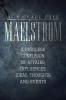 Maelstrom: A Restless Confusion of Affairs Influences Ideas Thoughts and Events