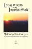 Loving Perfectly in an Imperfect World - My Journey Thru Your Eyes