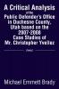 A Critical Analysis of the Public Defender's Office in Duchesne County Utah Based on the 2007-2008 Case Studies of Mr. Christopher Yvellez