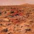Life on Mars 3: More Study of NASA's Mars Photos