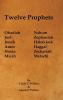 Twelve Prophets
