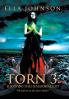 Torn 3