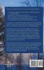 Analytical New Testament: An English Translation with Greek Parsing