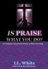 Is Praise What You Do?
