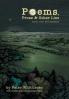Poems Prose and Other Lies
