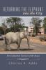 RETURNING THE ELEPHANT INTO THE CITY